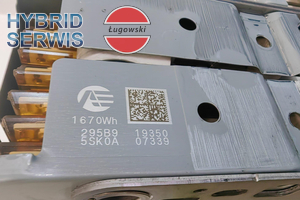 Blok ogniw moduł baterii HV Nissan Leaf 40kWh 1670Wh 295B95SK0A 295B95SK1A 6